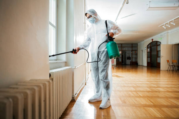 Professional Pest Control in Grandy, NC